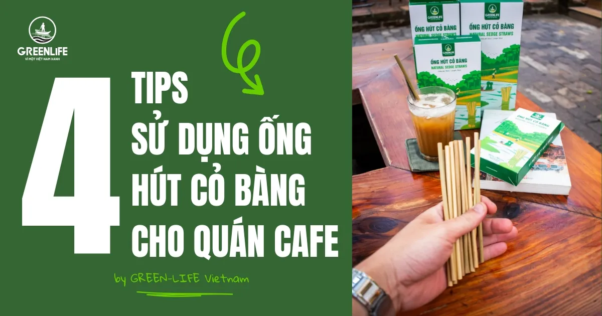 ống hút cỏ, ống hút cỏ bàng