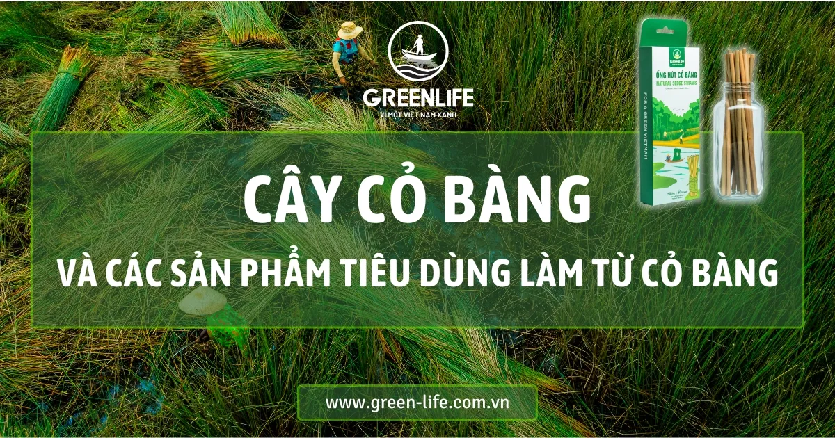 cỏ bàng, cây cỏ bàng