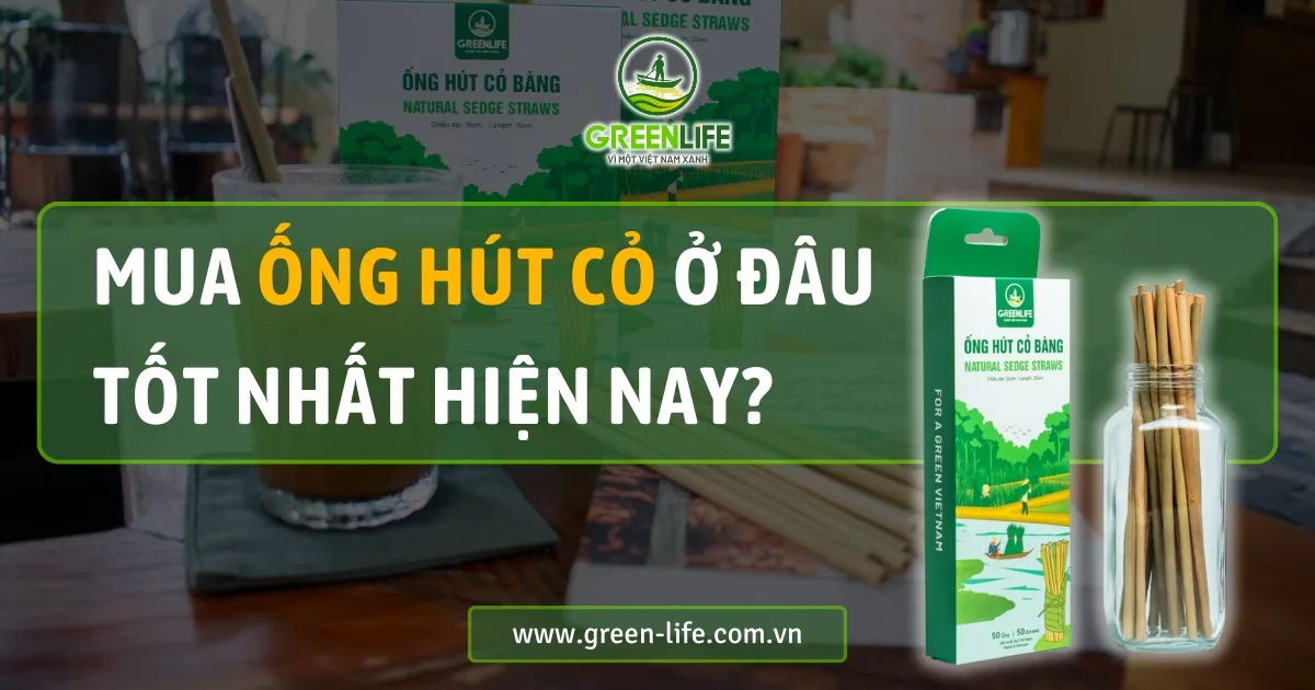 mua ống hút cỏ, ống hút cỏ, ống hút cỏ bàng