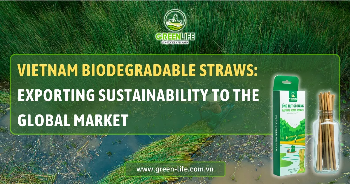 biodegradable straws